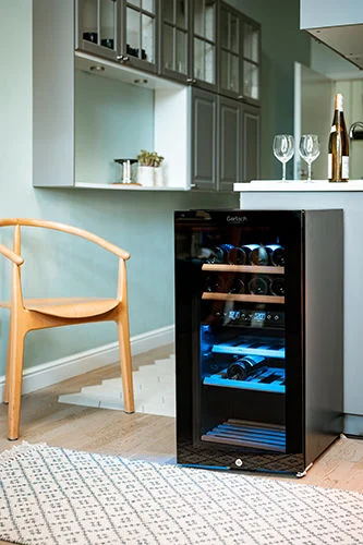 Kako odabrati hladnjak za vino?